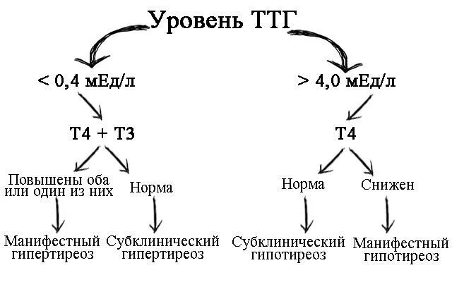 Алгоритм диагностики гипертиреоза схема. Ттг снижен т4 повышен. При субклиническом гипотиреозе ттг и т4. Ттг т3 т4 норма. Повышение ттг и повышение т4 и т3.