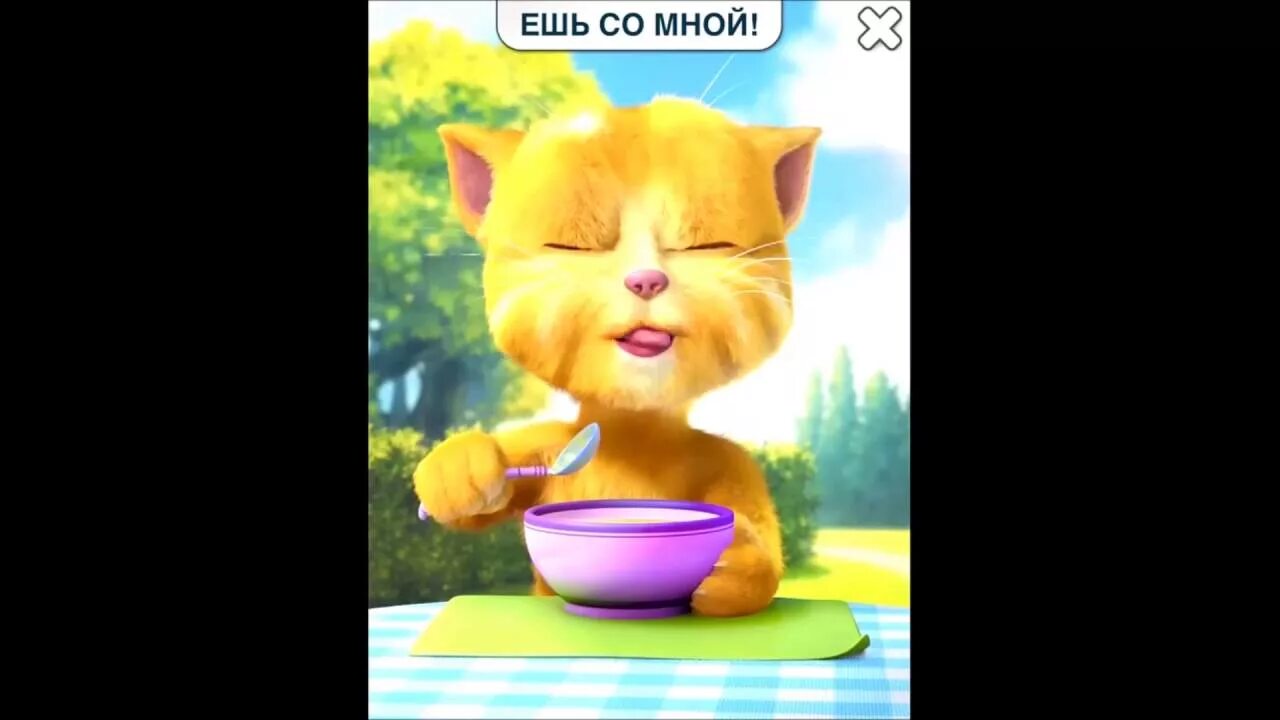 Говорящий кот ест. Говорящий джинджер ешь со мной. смешной кот рыжик с озвучкой. джинджер кушает. котенок джинджер ест суп.