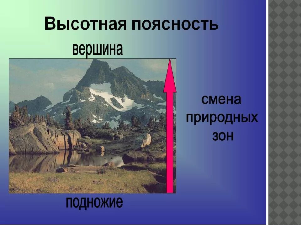 Области ВЫСОТНОЙ поясности. Широтная и Высотная поясность. Обитатели области ВЫСОТНОЙ поясности. Области ВЫСОТНОЙ поясности животные.