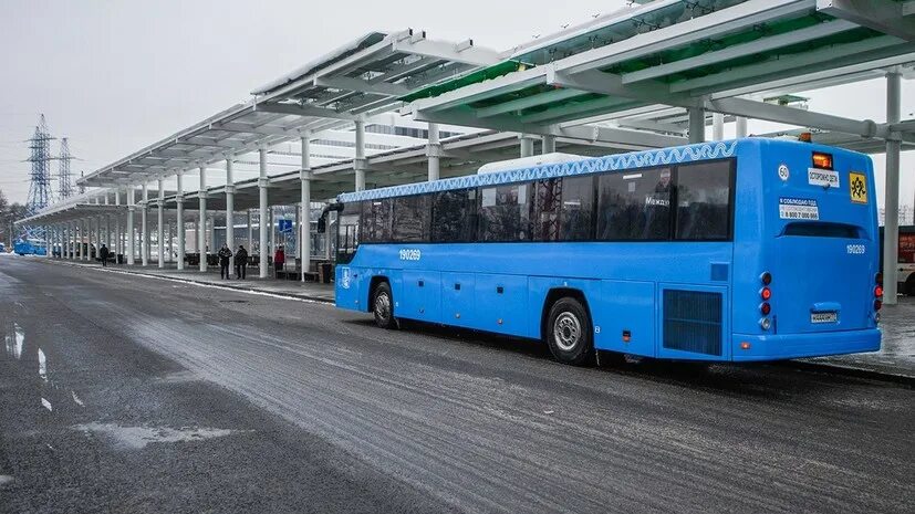 Автобус 1195 шереметьево. Лиаз аэроэкспресс. 1195 автобус ховрино шереметьево. аэроэкспресс автобус лиаз. автобус шереметьево ховрино.