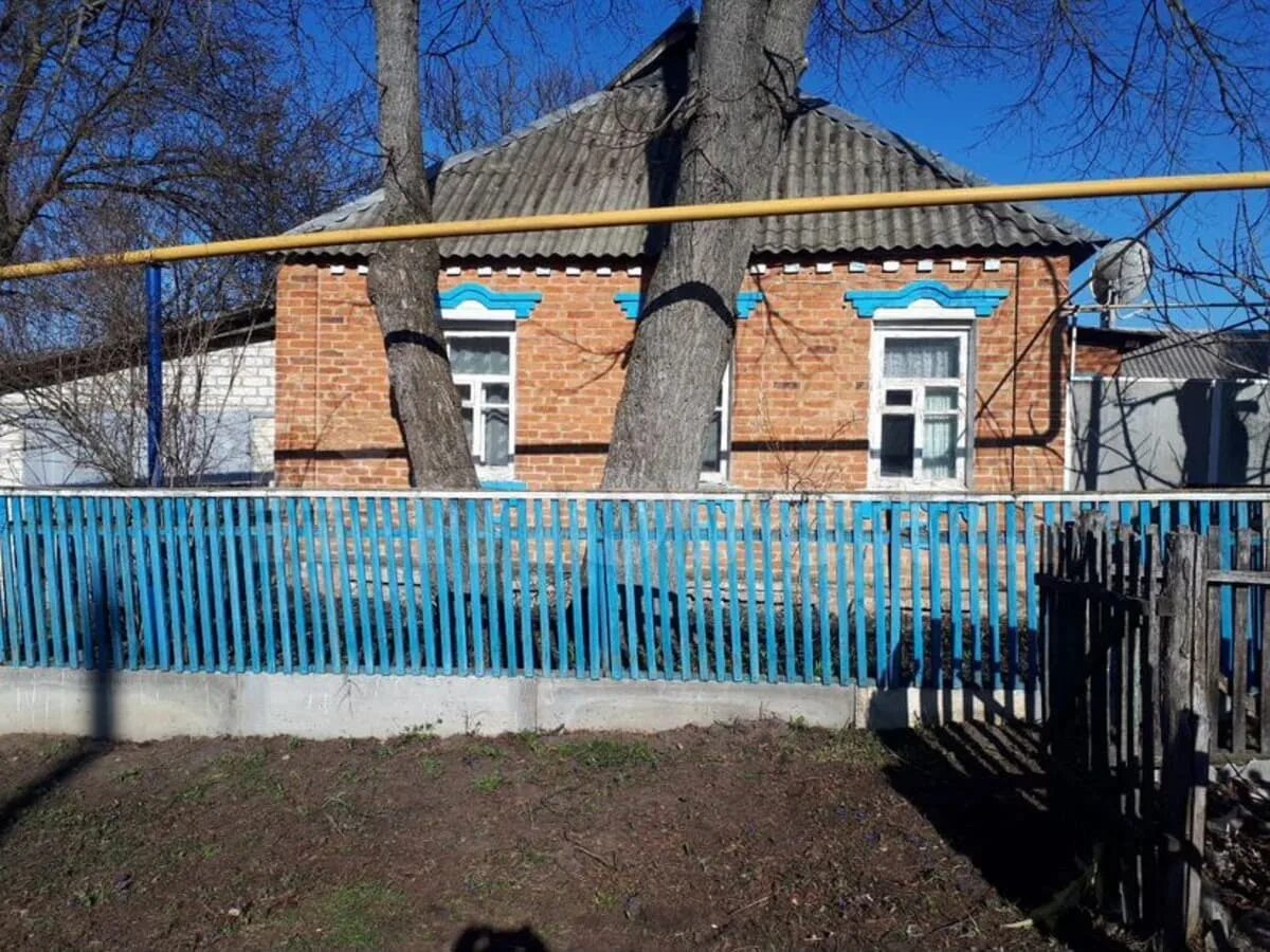 Село введенская готня. Село введенская готня. Трефиловка белгородская. Трефиловка белгородская. Трефиловка белгородская.