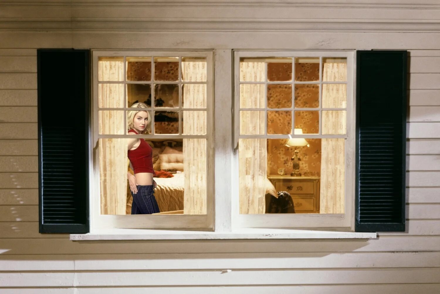 Гейл альберт-халабан. Девушка выглядывает из окна. Гейл алберт-халабан, «из моего окна». Наблюдение за соседями. Окна напротив.