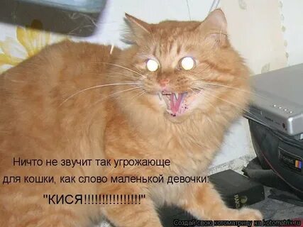 Ничего не звучит