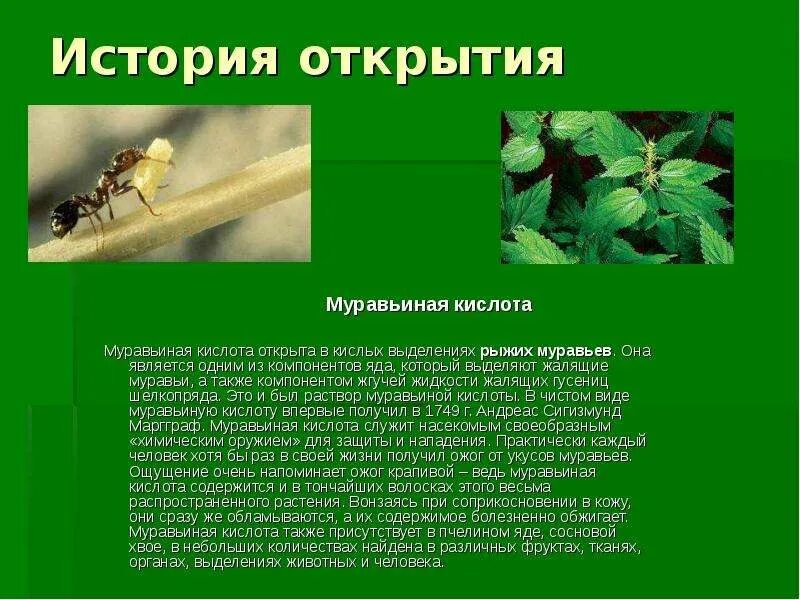 Характеристики муравьиной кислоты. Муравьиная кислота в крапиве. Муравьи и муравьиная кислота. Муравьиная кислота в растениях. Муравьиная кислота ядовита.