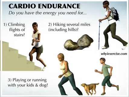 Exercise definition