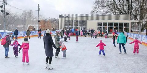 Каток некрасовка