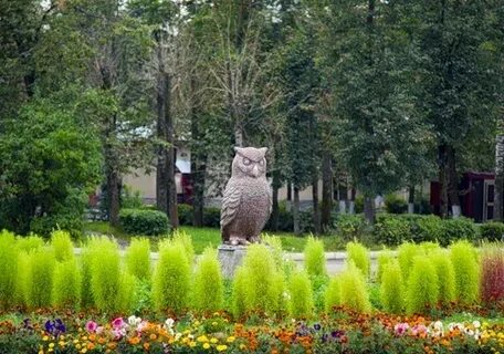Городское поселение сычево