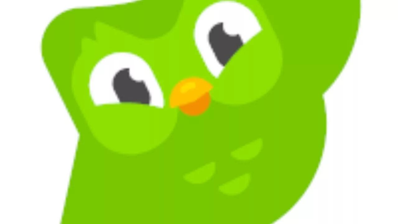 Lily duolingo rule
