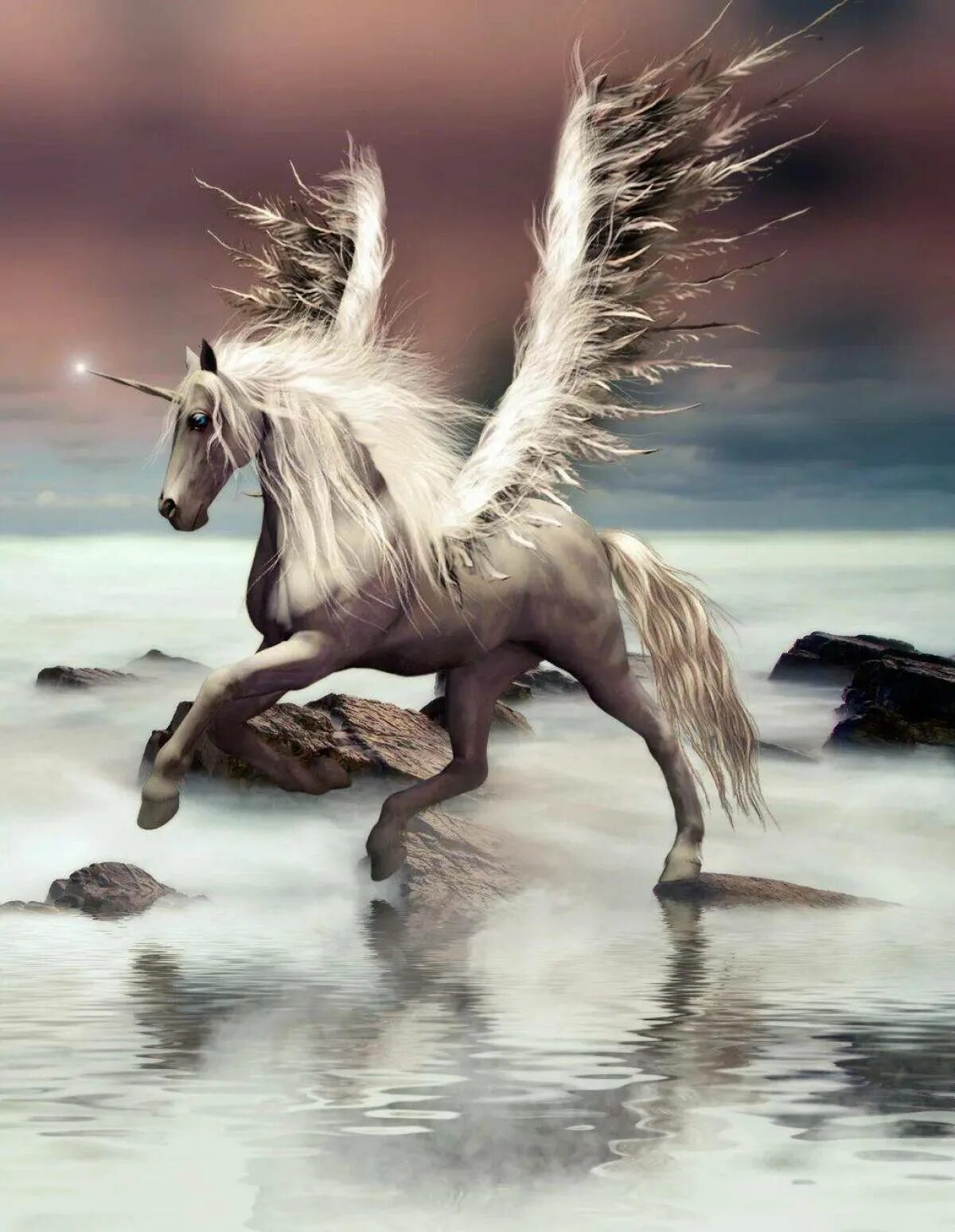 Horse life пегасы. Лошади Единороги пегасы. Крылатая лошадь. Крылатый Единорог. Единорог с крыльями.