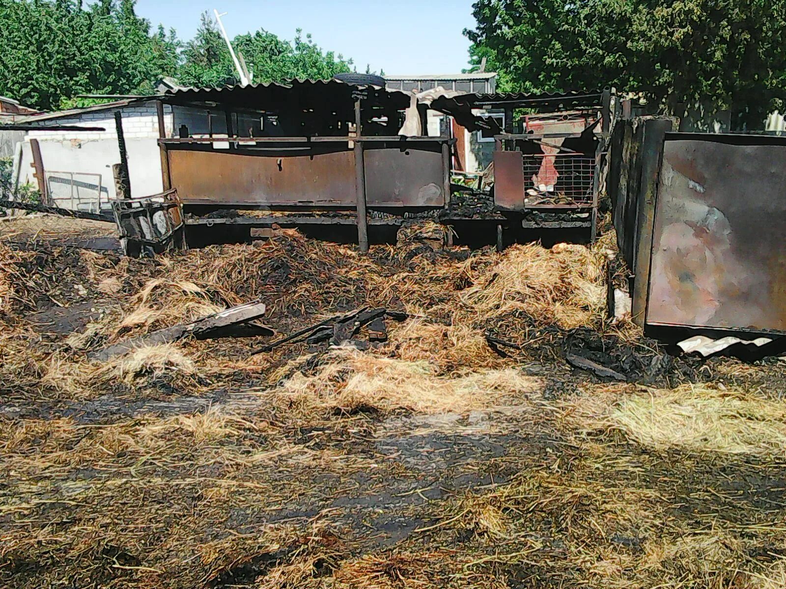 Рп5 апанасенковское ставропольский край погода. Дербетовка Ставропольский край. Костер Ставропольский край. Гисметео Дербетовка. Коза на КАМАЗЕ.