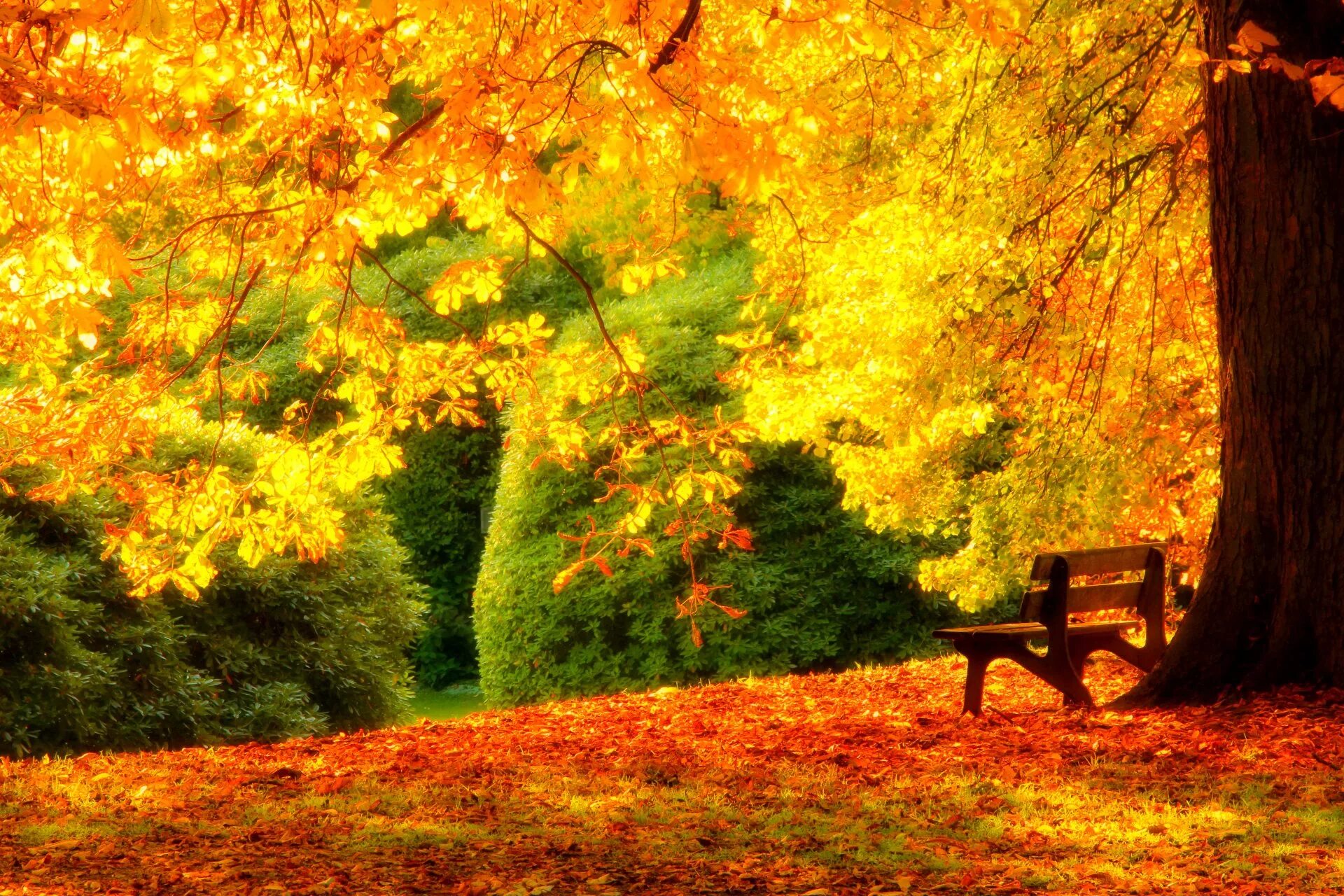 Hot autumn