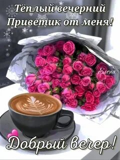 Теплый привет
