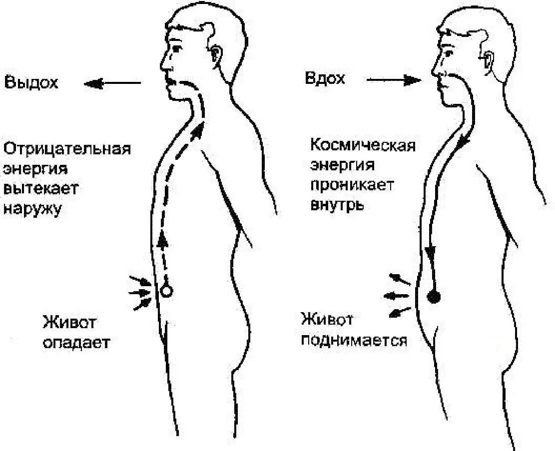 Глубокий вдох у ребенка. Дыхание цигун методика. Дыхательные упражнения вдох выдох. Дыхательные упражнения цигун. Схема правильного дыхания.