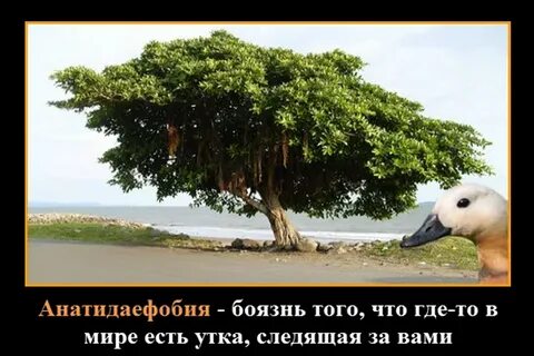 В мире что то есть