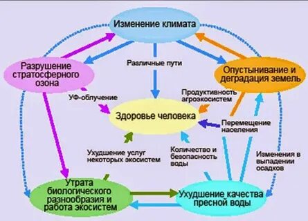 Состояние окружающей среды в обеспечении здоровья