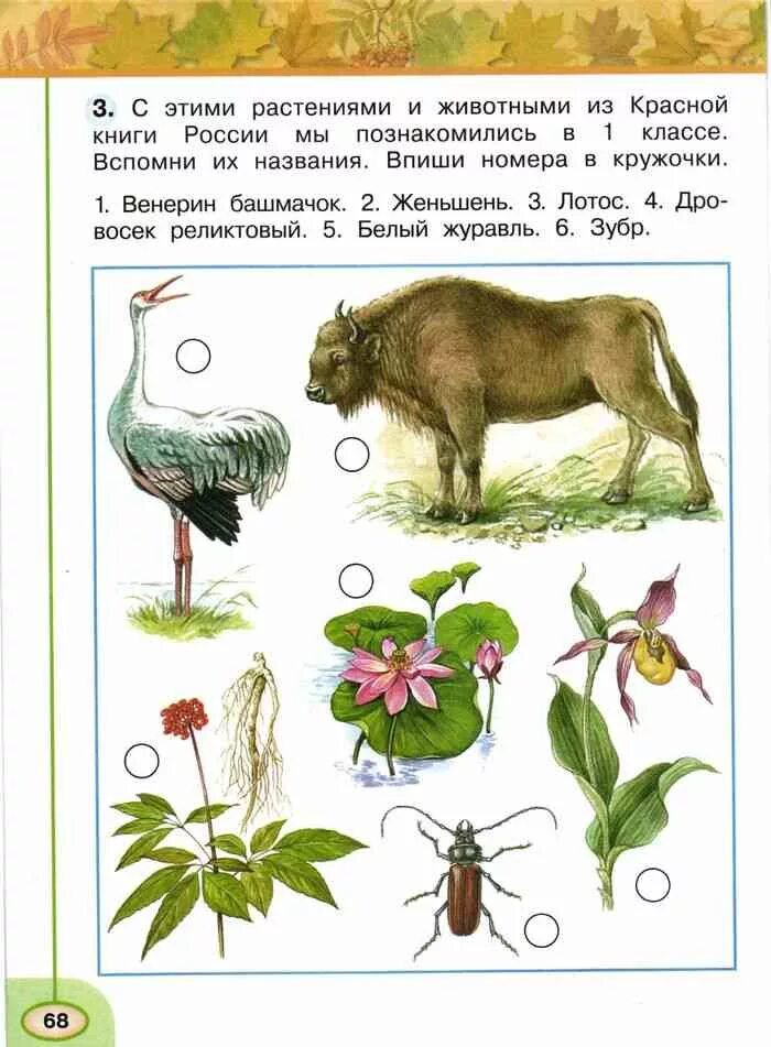 Узнать о растениях и животных