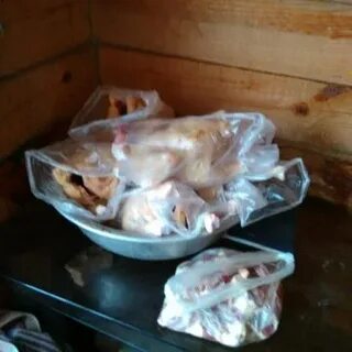 Куры тюмень