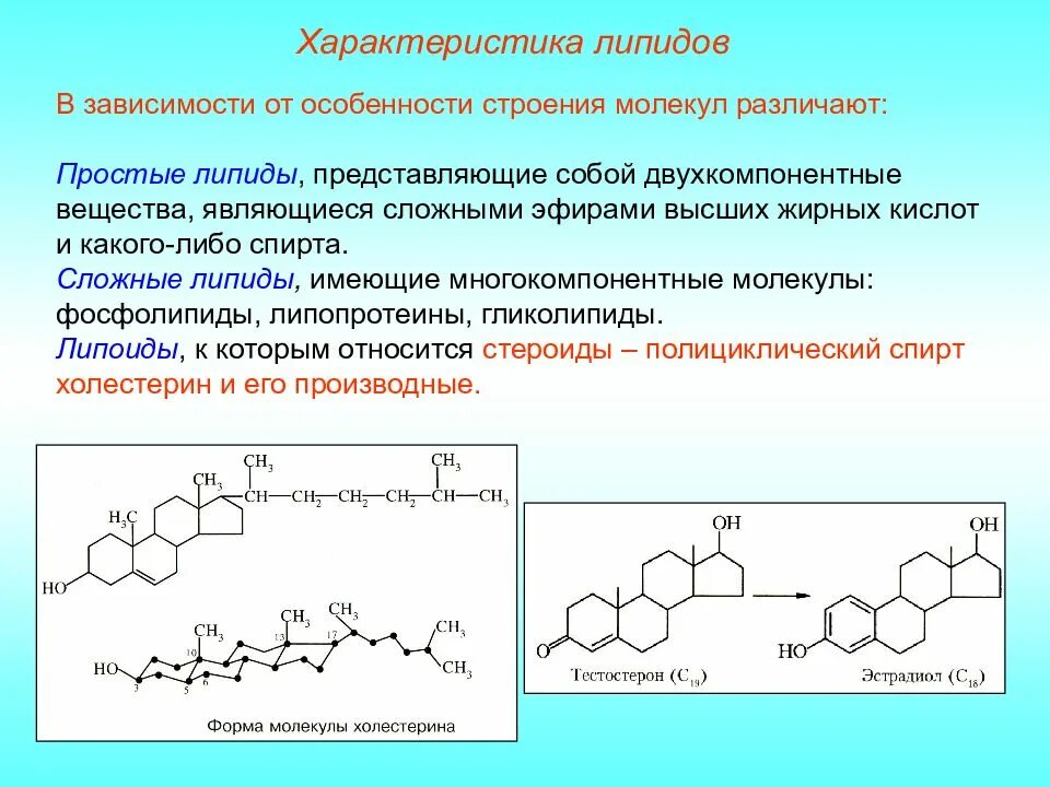 Функции молекул углеводов и липидов. Простые липиды химическое строение. липиды строение молекулы вещества. структура молекул липидов. химическая структура липидов.