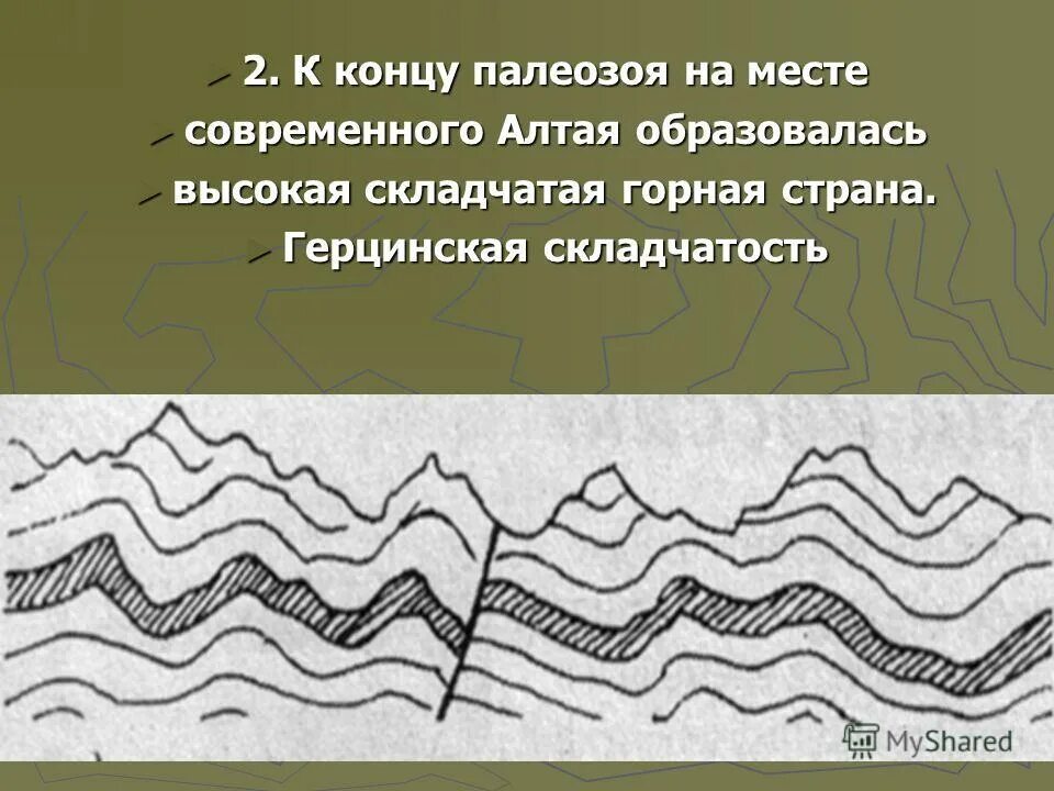 Складчатость южной сибири. Складчатость алтайских гор. Складчатость горы Алтай. Герцинская складчатость. Образование складчатых гор.