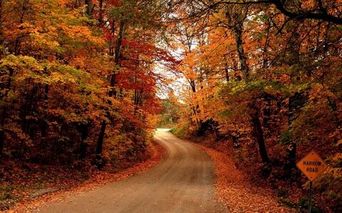 Fall but