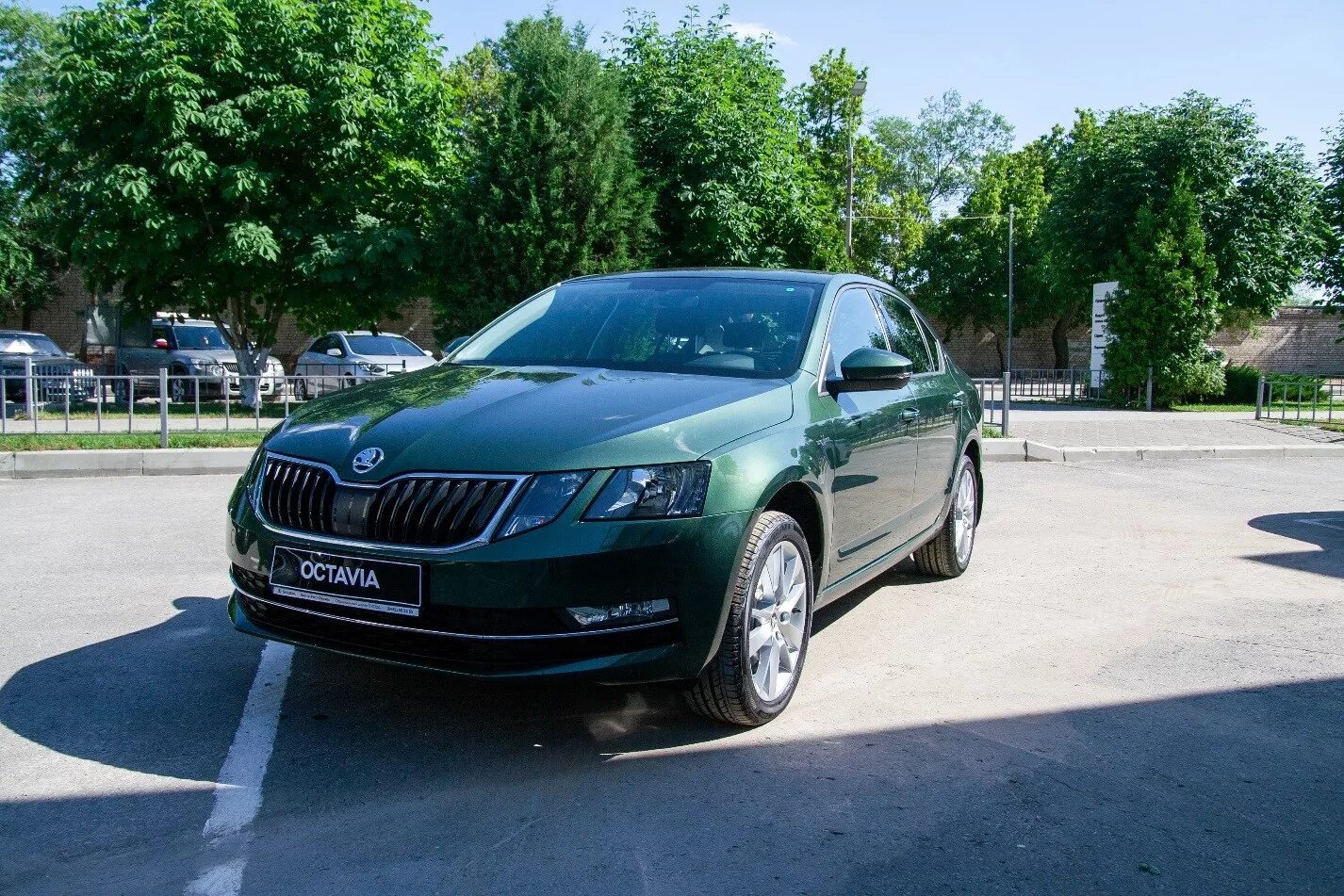 Skoda Octavia a8 зеленая. Skoda Octavia a7 зеленая. Skoda octavia цвета