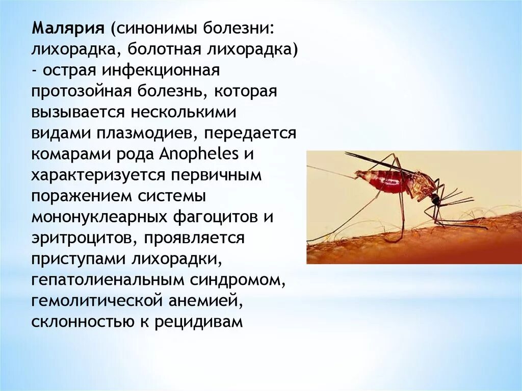 Малярийный комар возбудитель. Возбудитель малярии в Комаре. Малярийный комар заболевания. Малярийный плазмодий заболевание.