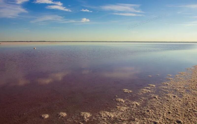 Погода в баево на 10 дней алтайского. Озеро в Бурле Алтайский край. Бурлинское озеро Алтайский край. Бурсоль озеро Алтайский край. Озеро Топольное Алтайский край Бурлинский район.