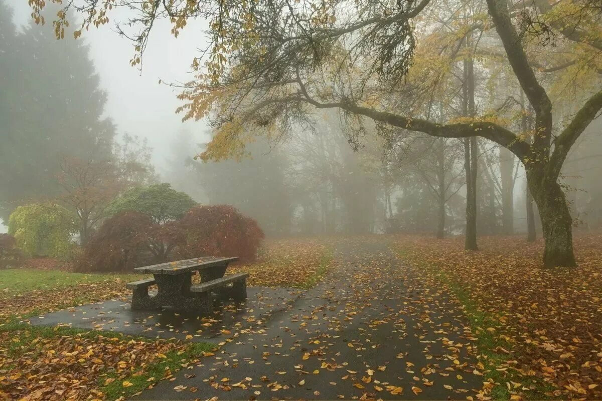 Солнце ненастный день. Дождливая осень. Осень дождь. Осень в городе. Пасмурная осень.