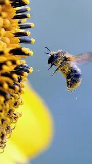 Flying towards you