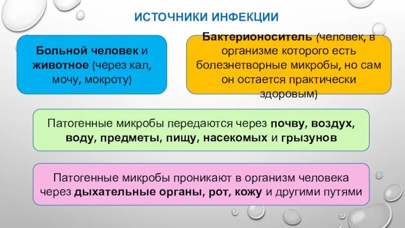Могут ли бактерионосители быть допущены к работе