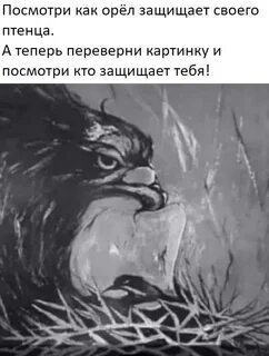 Повернуть теперь