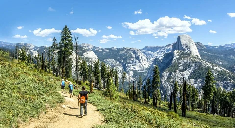 Sequoia National Park walk Tour. Хайкинг. Парк Ваке хайкинг. Йосемити национальный парк кемпинг зона. Хайкинг это простыми словами