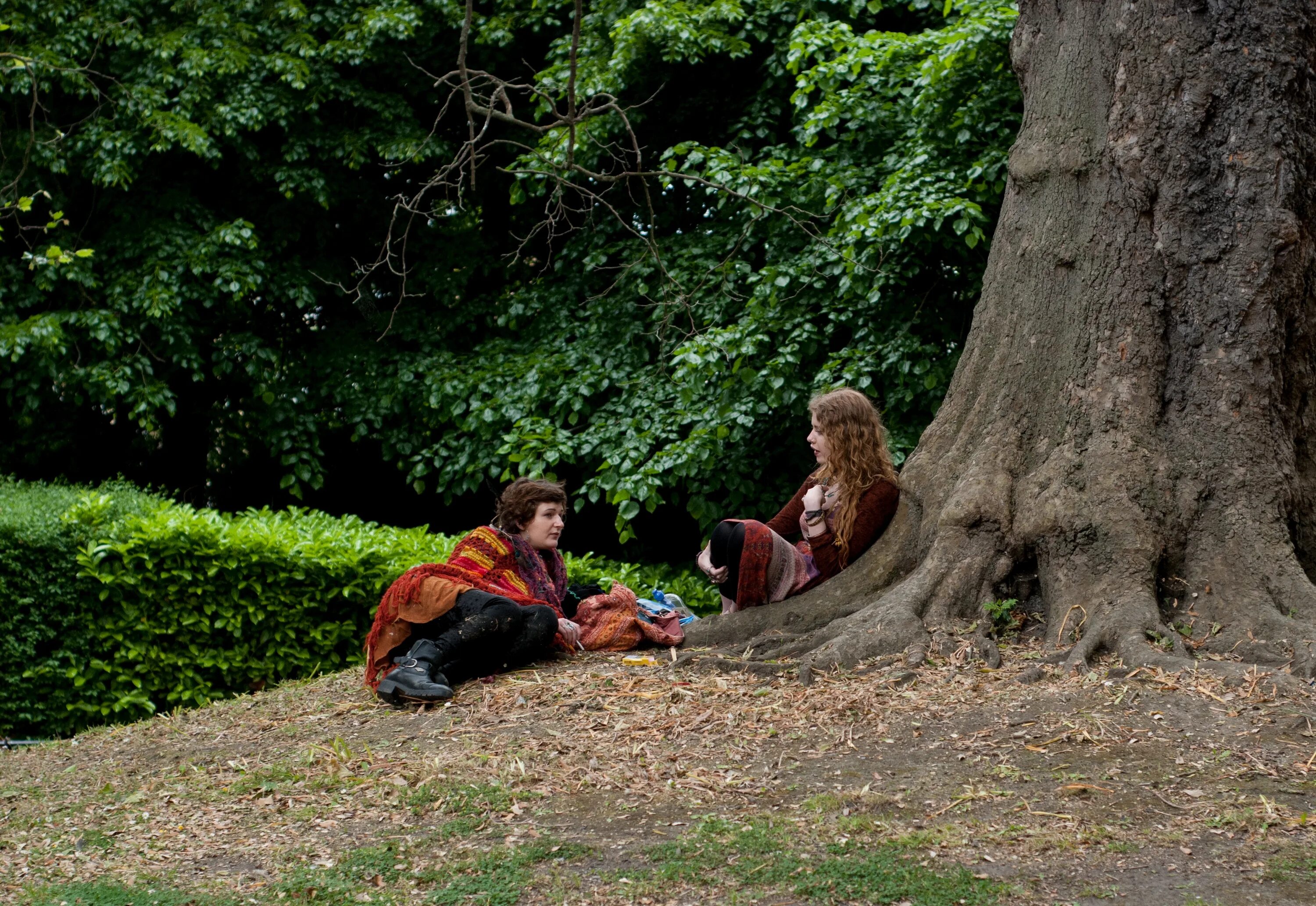 Under the tree