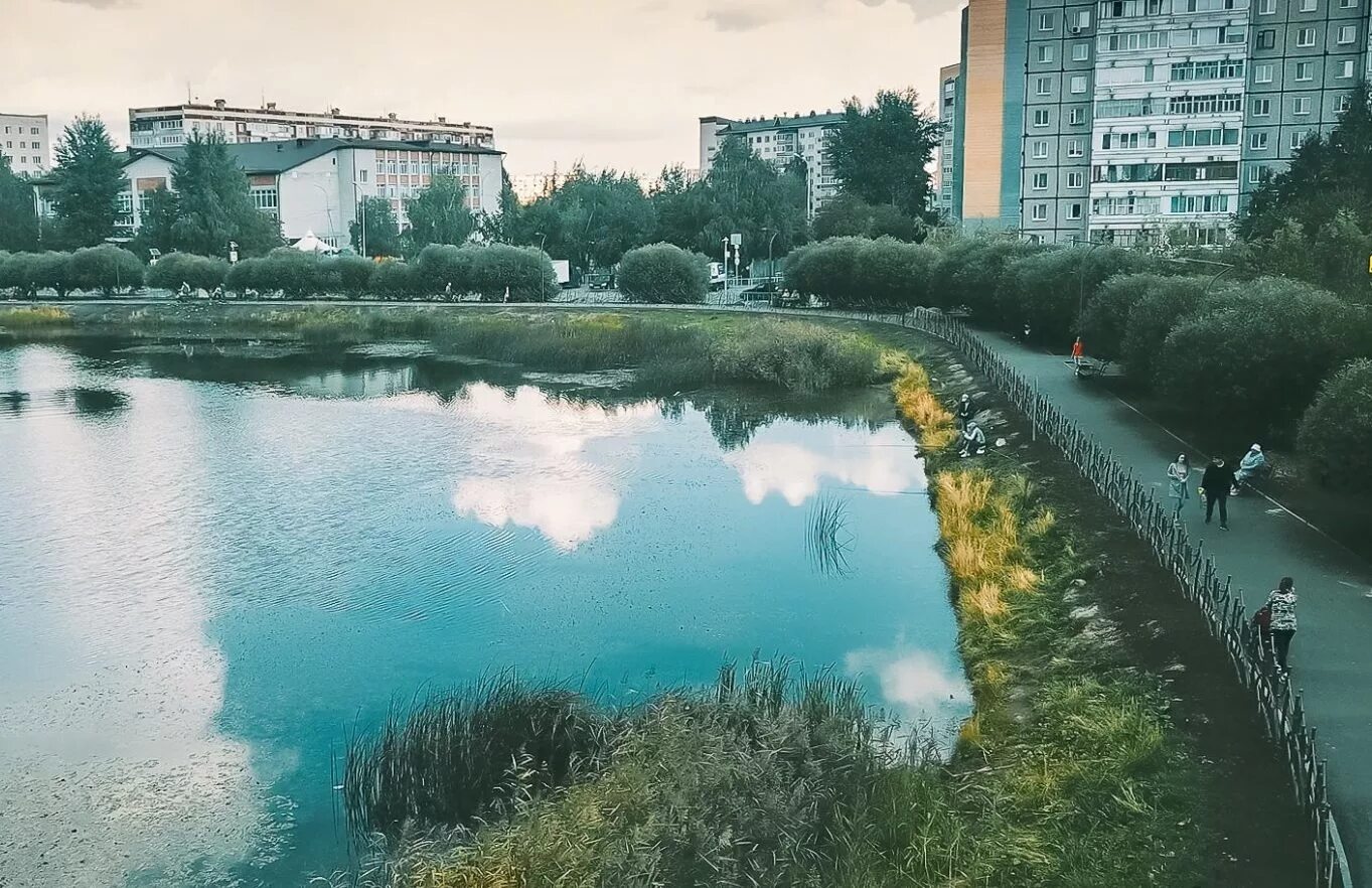 Пруд южный тюмень адрес. Пруд южный тюмень. Пруд южный тюмень адрес. Старый пруд южный тюмень. Пруд южный тюмень адрес.