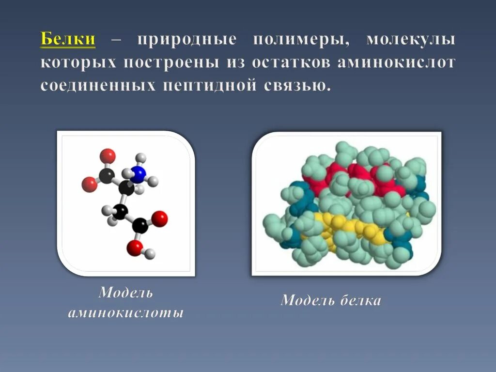 Является природным белком. Молекула полимера. Белки природные полимеры. Природные органические вещества. Азотосодержащие органические соединения.