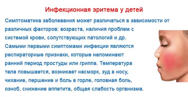 Парвовирус b19 инфекционная эритема. Эритема кольцевидная сыпь. Инфекционной эритемы и экзантемы.. Сыпь температура боль в горле у ребенка