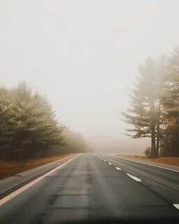 Morning drive