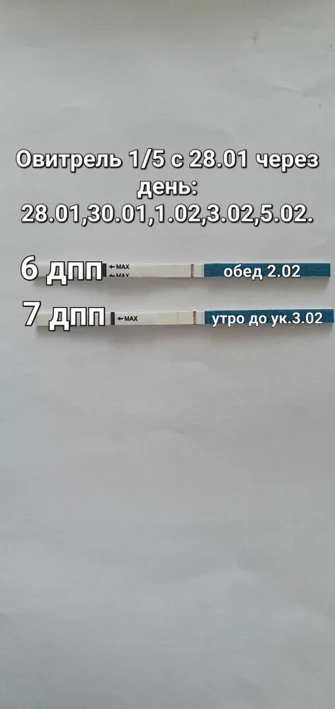 Второй криоперенос. Овитрель. 7 День после укола Овитрель. Выход овитреля по тестам. 11 День после овитреля тест отрицательный.