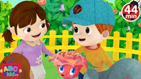 Can children song