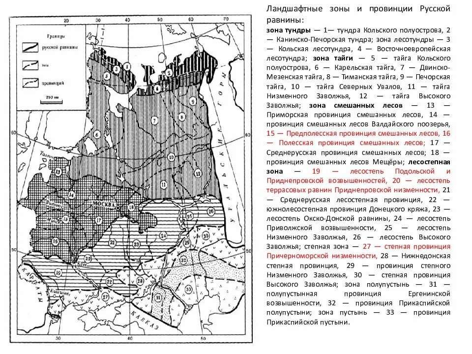 Восточно европейская равнина какая природная зона. Физико-географическое районирование русской равнины. Природные зоны Восточно европейской равнины. Ландшафтные зоны и провинции русской равнины. Природные зоны Восточно европейской равнины на карте.