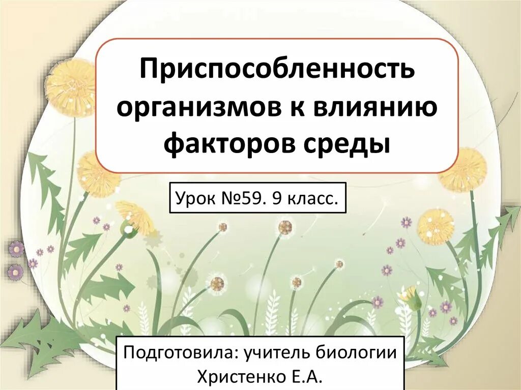 Приспособленность организмов к влиянию факторов среды. Приспособления организмов к жизни в природе. Приспособленность это в биологии. Схема приспособления организмов. Приспособленность организмов к действию факторов среды презентация