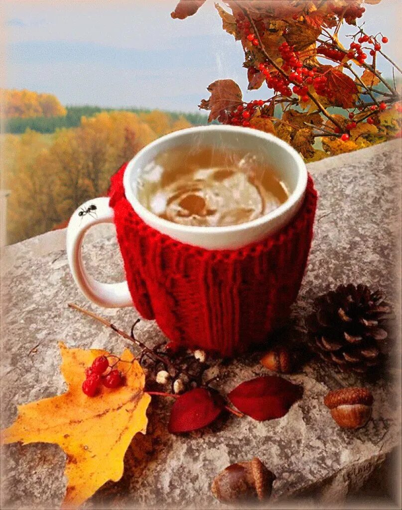 Красивые картинки с добрым осенним. Доброе осеннее утро. С добрым осенним утром. Осенний кофе. С красивым осенним утром.
