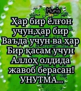Бир тишлатиб олмамни