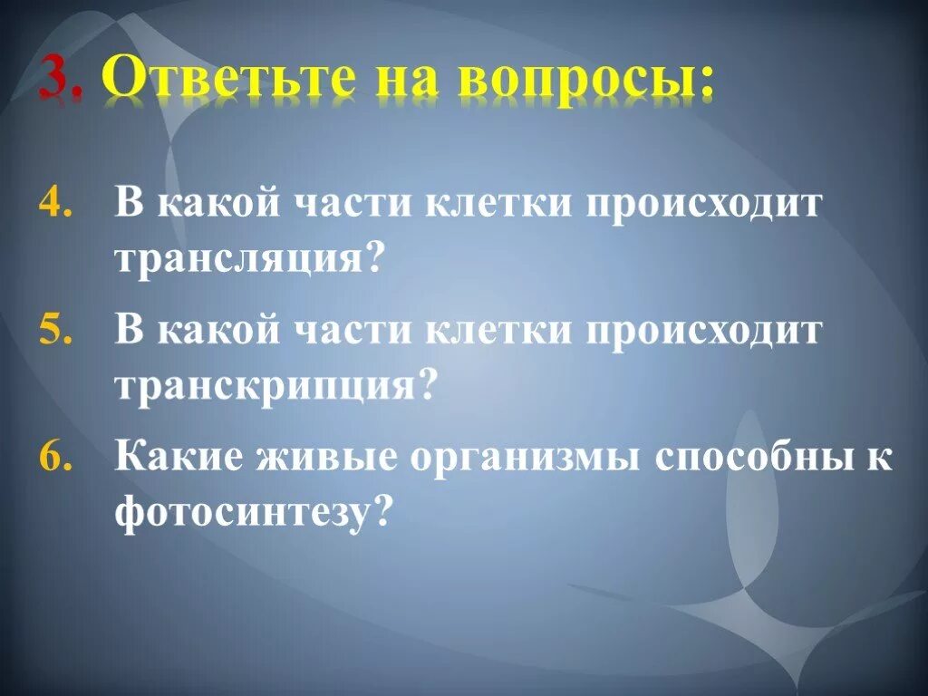 В какой живой клетке происходит. В каких органоидах клетки происходит фотосинтез. в какой части клетки происходит трансляция. в каком клеточном органоиде происходит фотосинтез?. какие органоиды клетки фотосинтезируют.