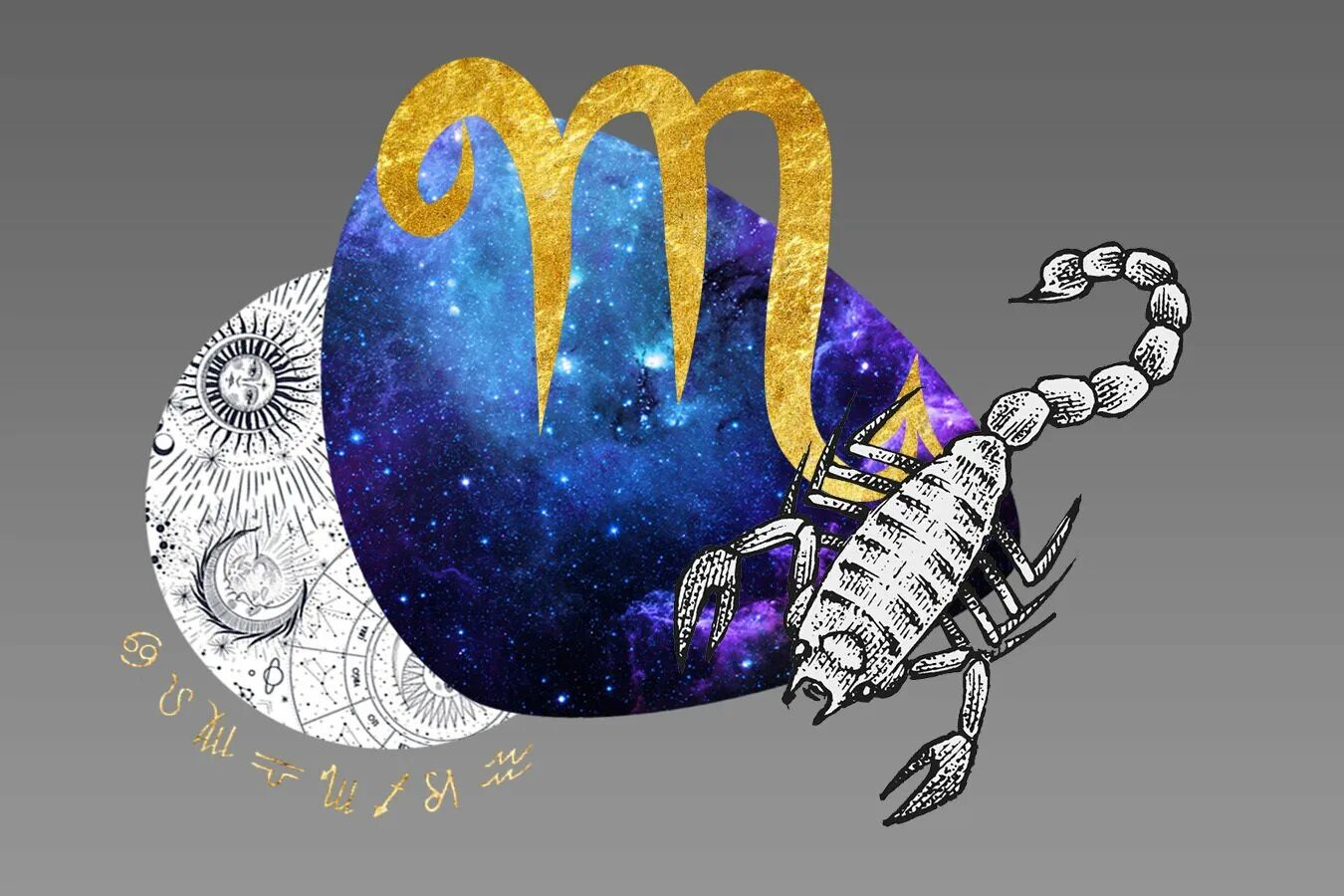 Милый скорпион. Персонажи знака зодиака скорпион. Скорпион картинки. Скорпион для метрики. Персонажи знака зодиака скорпион.