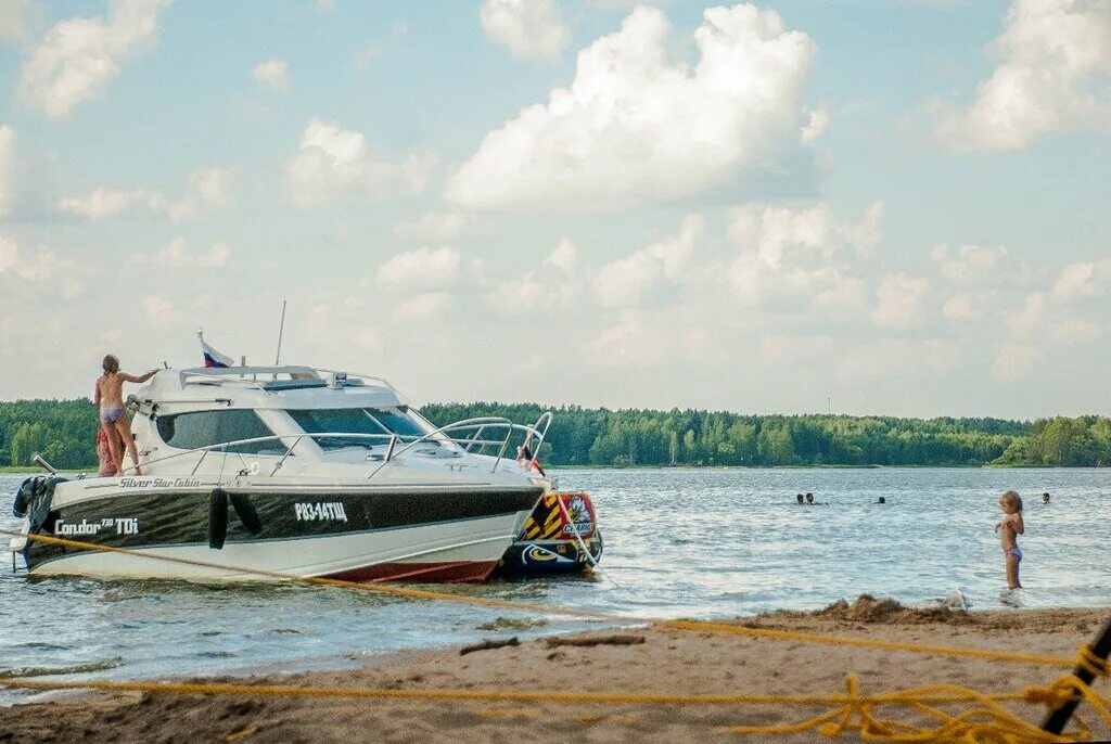 конаково сосновый бор и пляж. волга. конаково ривер клаб. конаково отдых на волге. конаковский бор,волга, пляж.