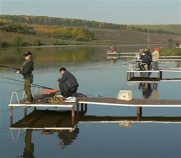 Золотой Карп Нововоронеж. Пруд золотой Карп Воронежская область. Турбаза золотой Карп Воронежская область. Золотой Карп Воронеж пруд Архангельское. Золотой карп рыбалка