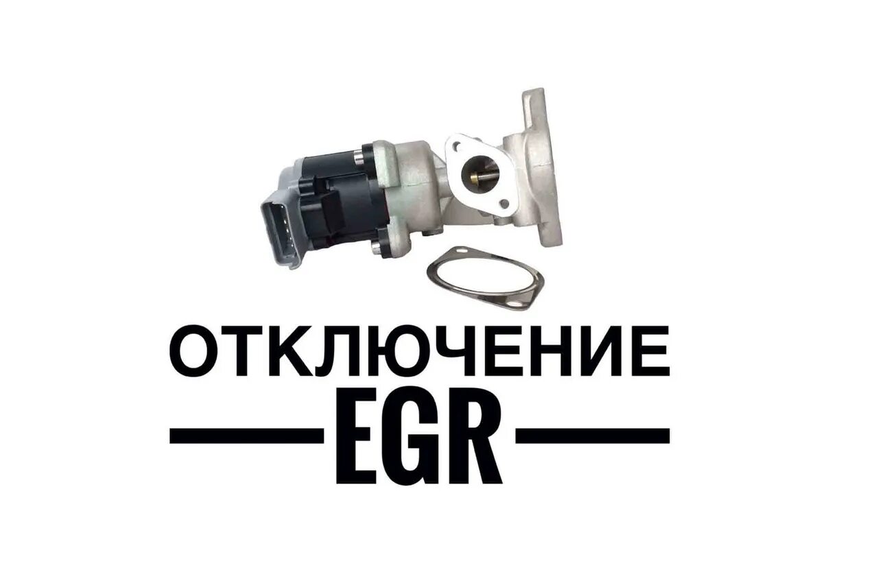 Егр бай. Отключение клапана ЕГР. Отключение клапана EGR. Программное отключение ЕГР. Клапан ЕГР картинки.