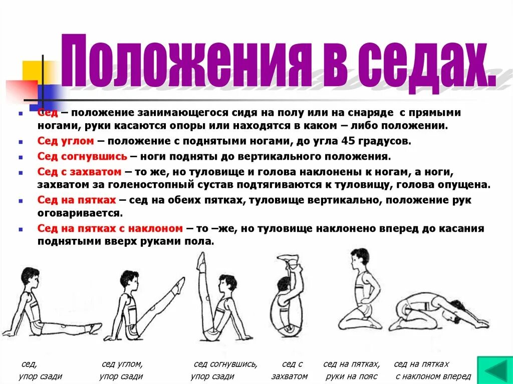 Гимнастические положения