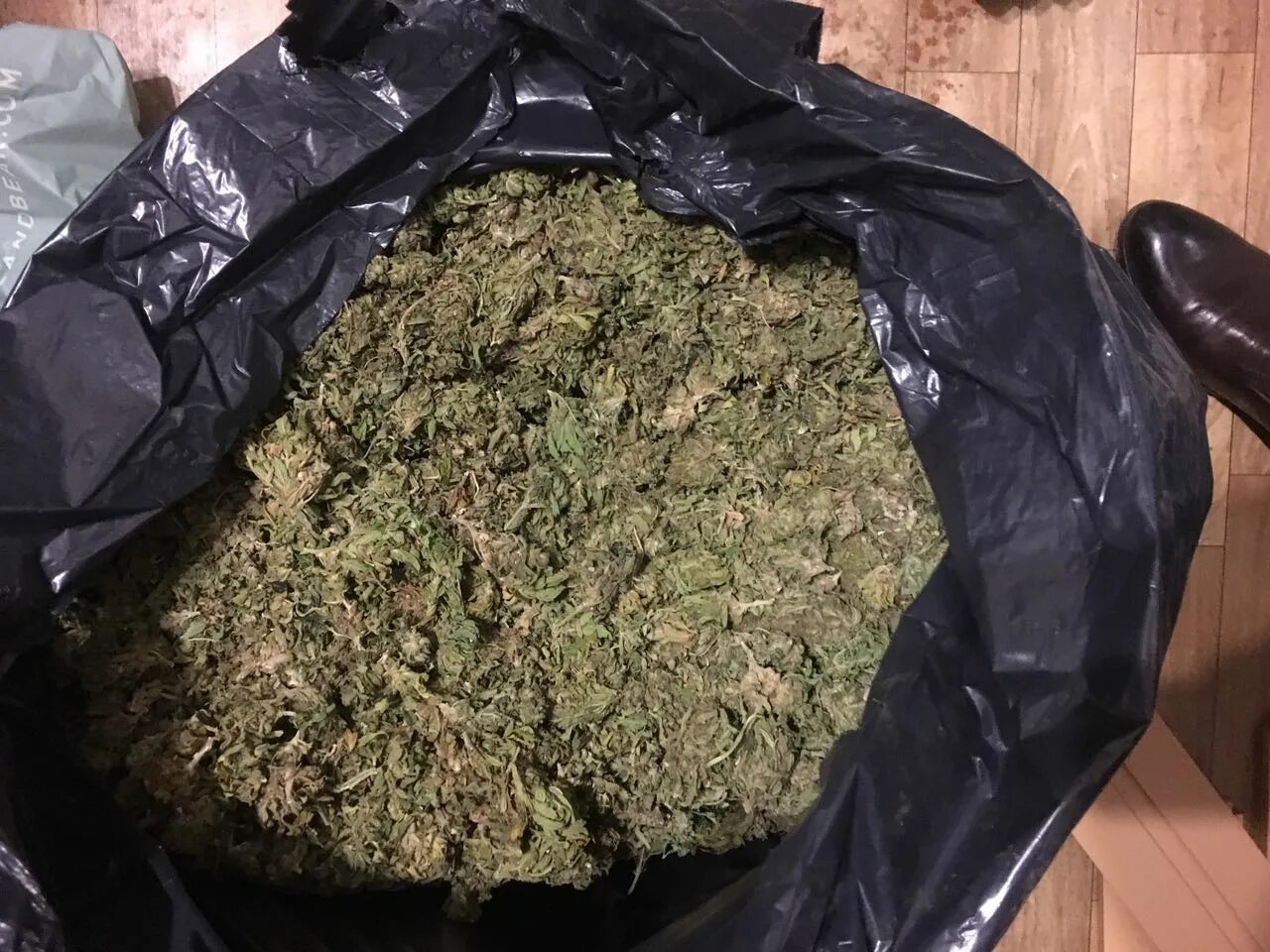 4 кг травы. 10 грамм бошки. Коробка анаши. 1 грамм марихуаны. Грамм марихуаны.